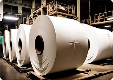 Paper Industry