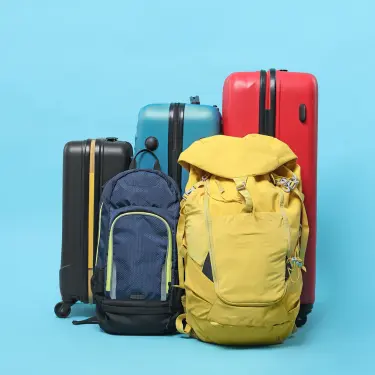 Luggage & Bags Inspection 