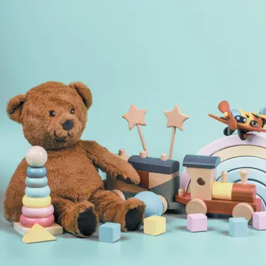 Toys Inspection