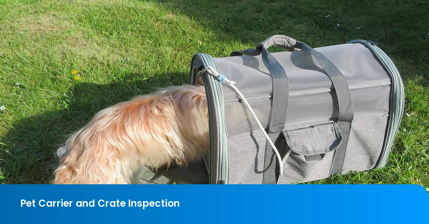 Pet Carrier and Crate Inspection Checklist: Door Latches, Escape Gaps, Handle Load, Ventilation, and Carton Protection