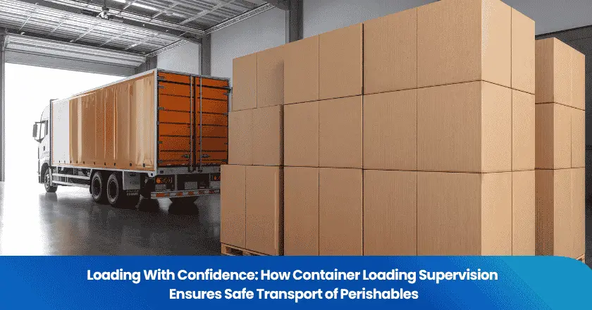 Loading With Confidence: How Container Loading Supervision Ensures Safe Transport of Perishables